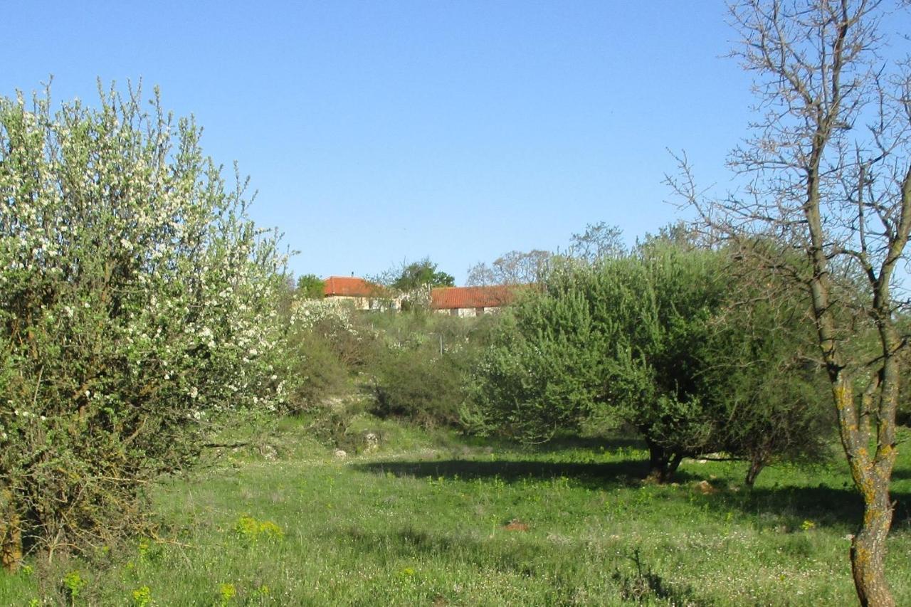 Arcadian Stone House In A Quiet Landscape, Leonidion Villa Poulithra Exterior photo